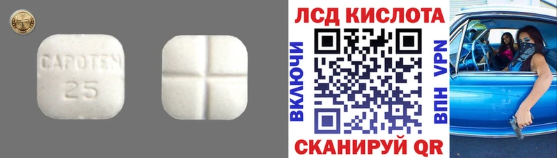 hydra ССЫЛКА  Элиста  LSD-25 экстази ecstasy 